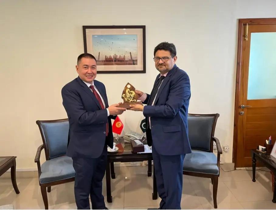 Пакистан готов сотрудничать с Кыргызстаном в сфере энергетики и импорта-экспорта полезных ископаемых