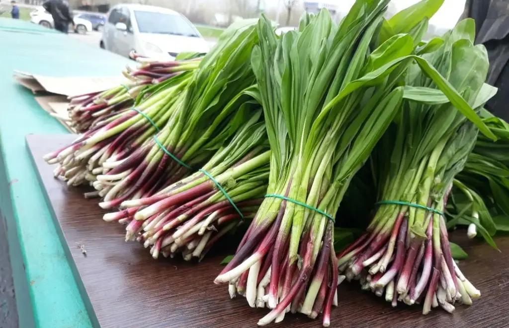 USAID поддержал предприятие по производству чеснока в Джалал-Абаде