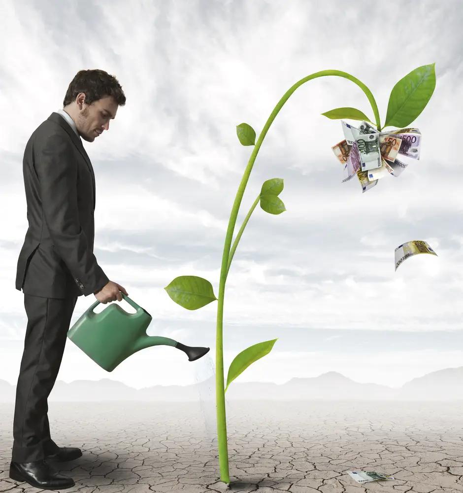 Жалал-Абадда айыл чарбасын пайдалуу насыялоо каралды