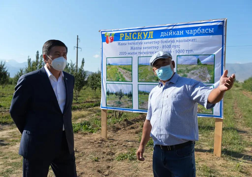 Фермерское хозяйство в Таласской области заработало 4 млн сомов