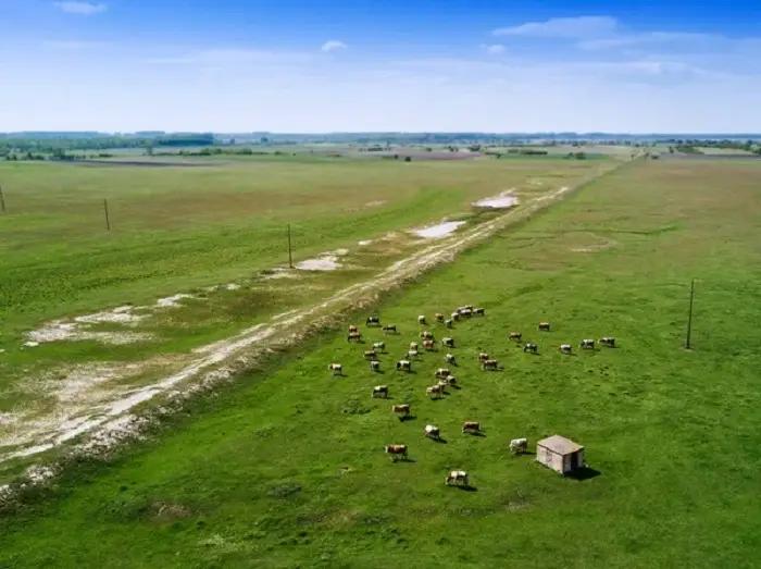 В Чуйской области пастбище площадью 48.5 га вернули государству