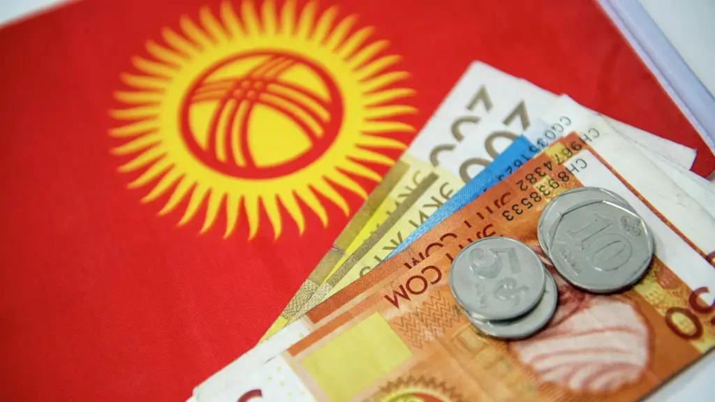 Внутренний долг Кыргызстана вырос на 6.9 млрд сомов
