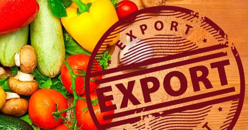 В КР экспортеры сельхозпродукции освобождены от ряда налогов