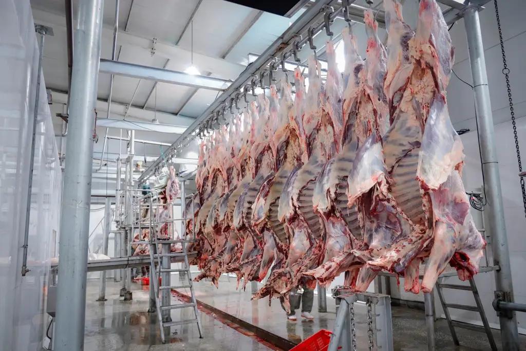 КР изучает опыт Монголии по экспорту мяса в Китай
