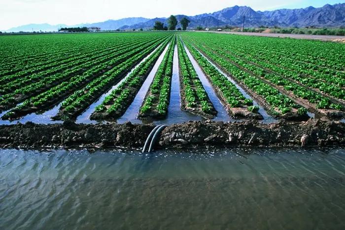 Для ремонта ирригационных систем в КР выделят 1 млрд сомов