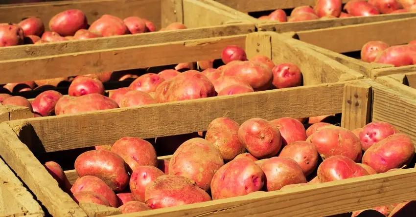 РКФР выдаст кредит Кыргызцентрпродукту для увеличения экспорта сельхозпродукции