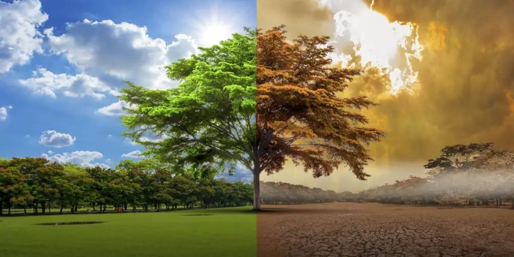 Кыргызстанцев научат справляться с изменениями климата