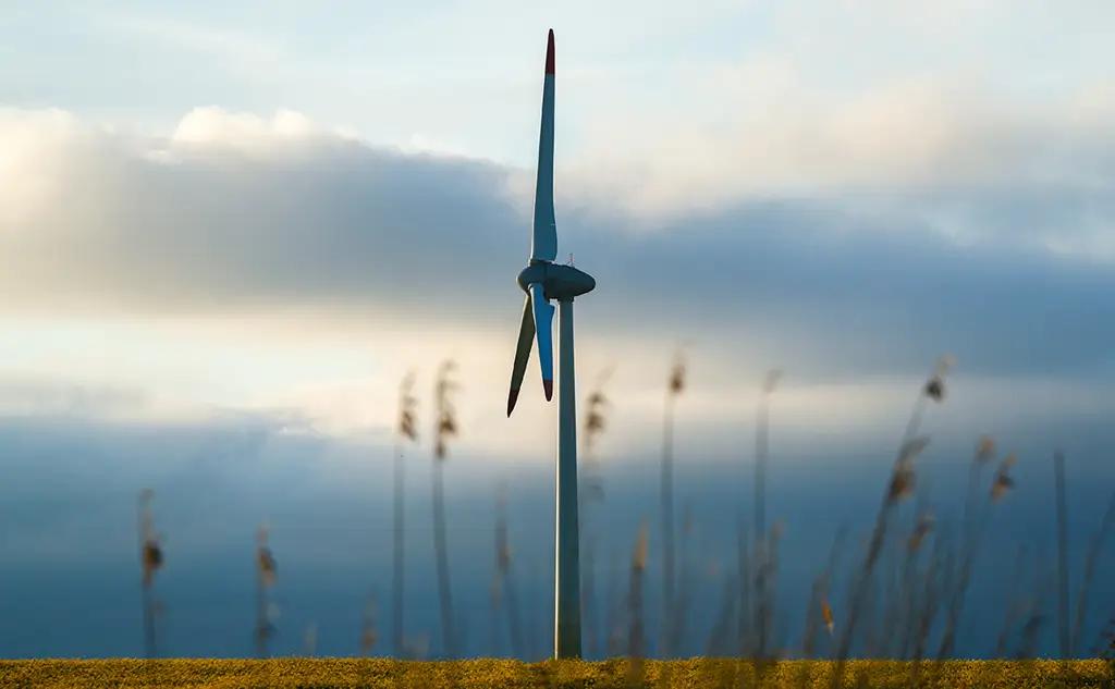 В КР прошло заседание рабочей группы по моделированию зеленой экономики