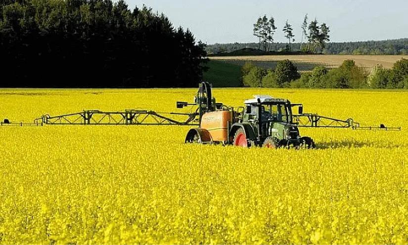 Экономические показатели сельхозпродукции в КР активно растут
