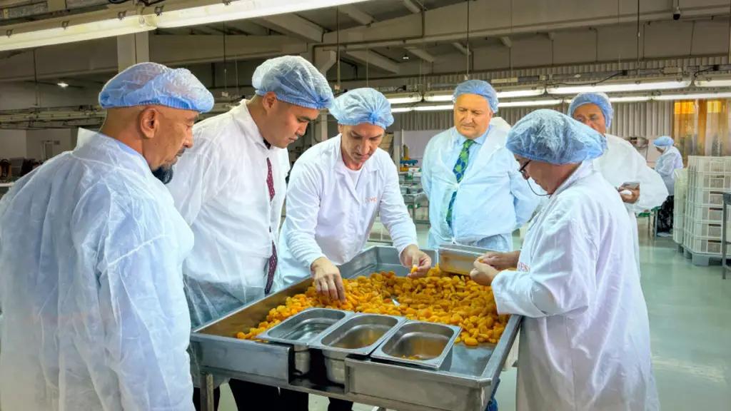 Торгпред предложил построить завод по переработке абрикосов