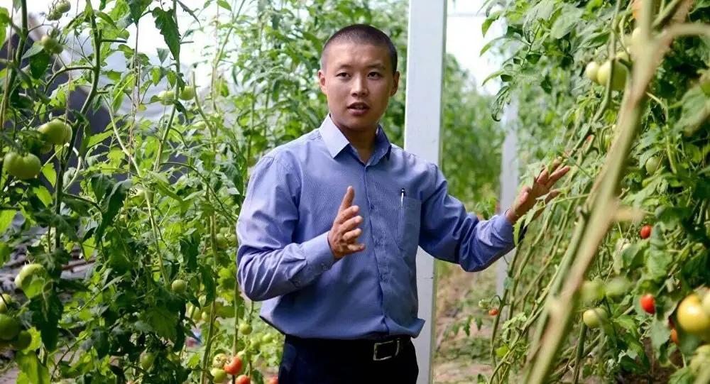 Сельское хозяйство в КР находится в глубочайшем кризисе - Токтогазиев