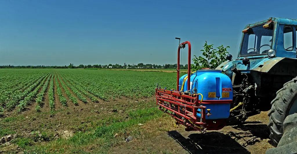 Продукцию растениеводства произвели на сумму 110 млрд сомов