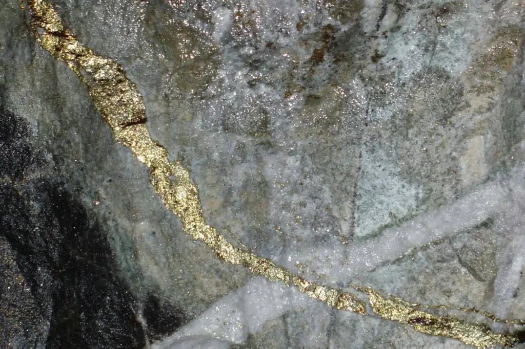 Средняя цена на руду и концентраты драгметаллов выросла в 1.47 раза