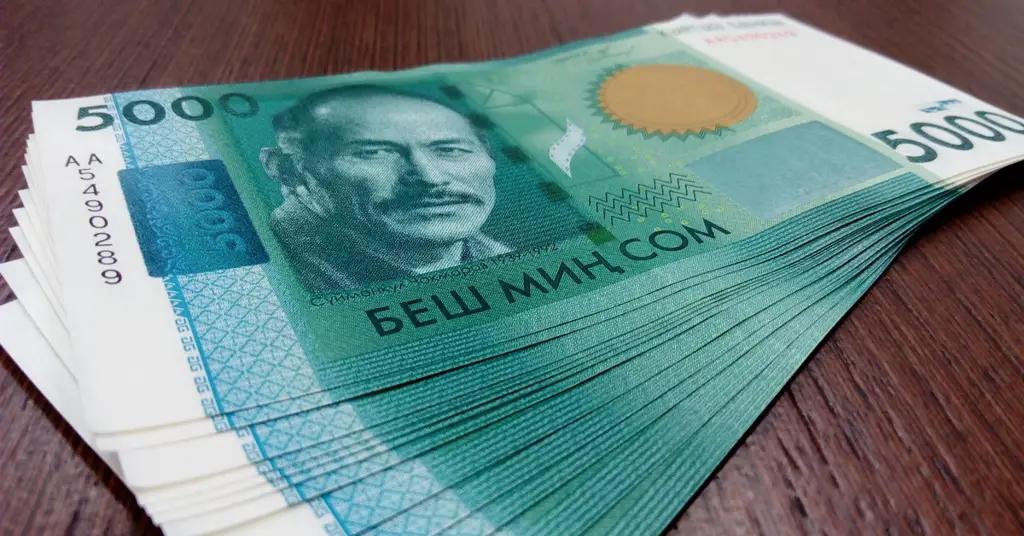 Бюджет потерял свыше 1.7 млрд сомов – национализированные объекты убыточны