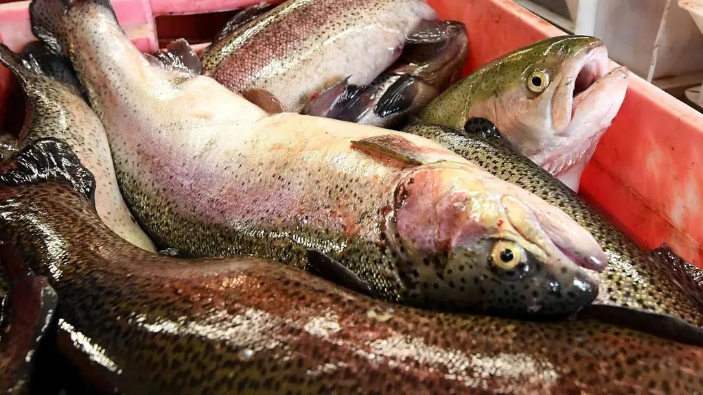 В этом году экспортировано на 565 тонн рыбы больше, чем в прошлом