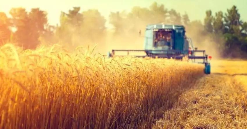 В КР удельный вес сельского хозяйства в структуре ВВП составляет 12.1%.