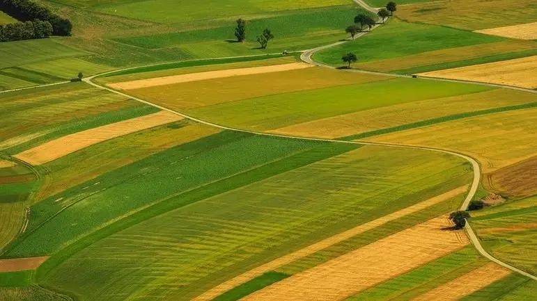 Орошаемая пашня стоимостью 186 млн сомов возвращена государству