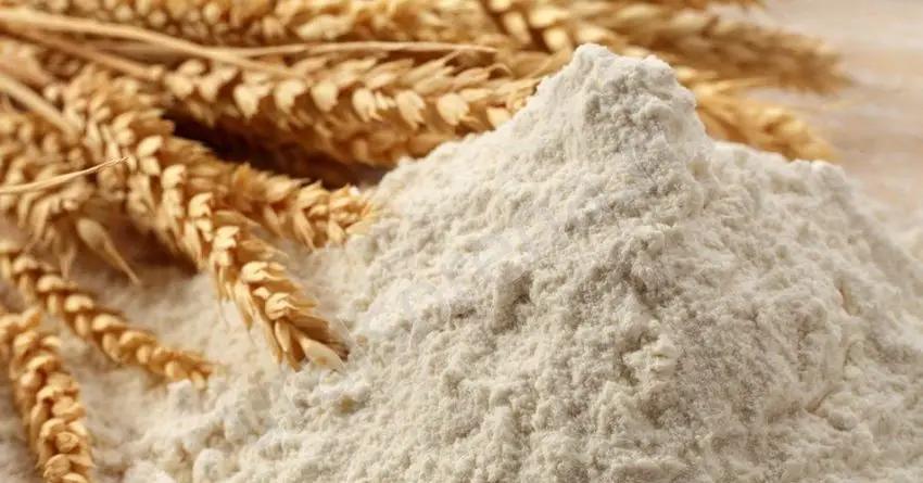 Жогорку Кенеш возвращает НДС на импорт зерна и муки