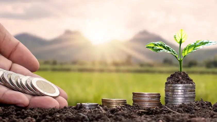 Джалал-Абадская область получила больше всего кредитов по ФСХ-12