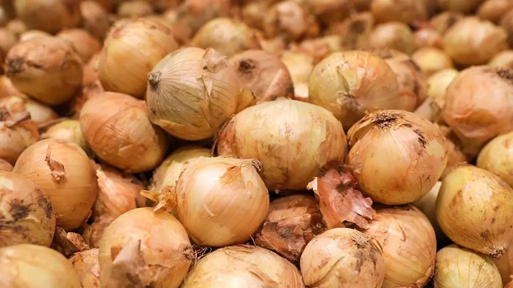 Отечественные экспортеры лука несут убытки