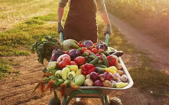 Сельхозпроизводители просят отменить электронные накладные