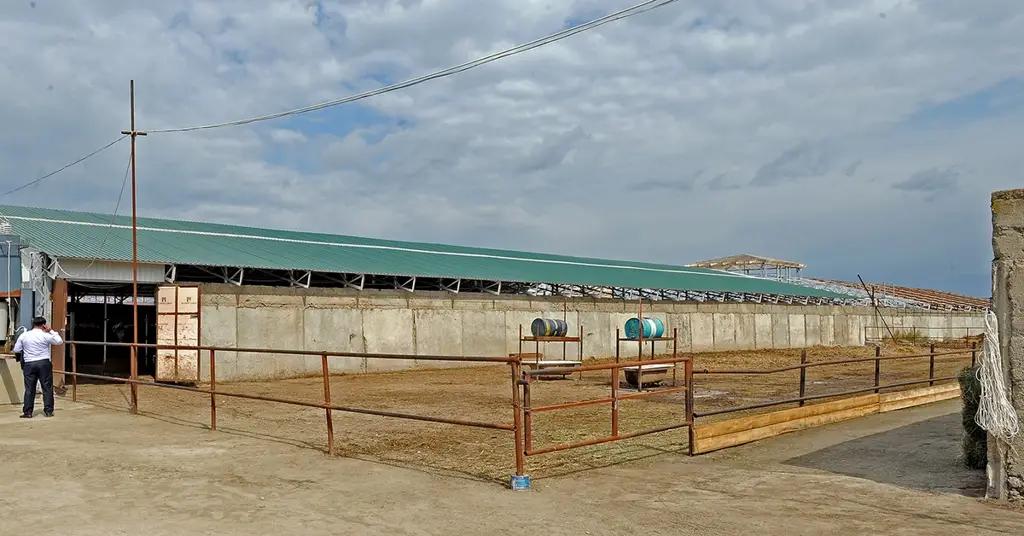 Минфин выставил на продажу имущество участников госпрограммы кредитования фермеров