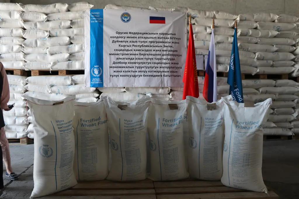 Новая партия гуманитарной помощи от России прибыла в Кыргызстан