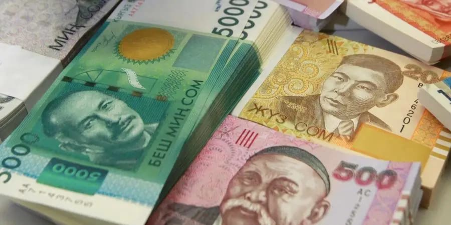В бюджет планируют привлечь 100 млн сомов на два года