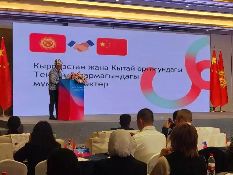 В Китае заинтерсовались кыргызским текстилем