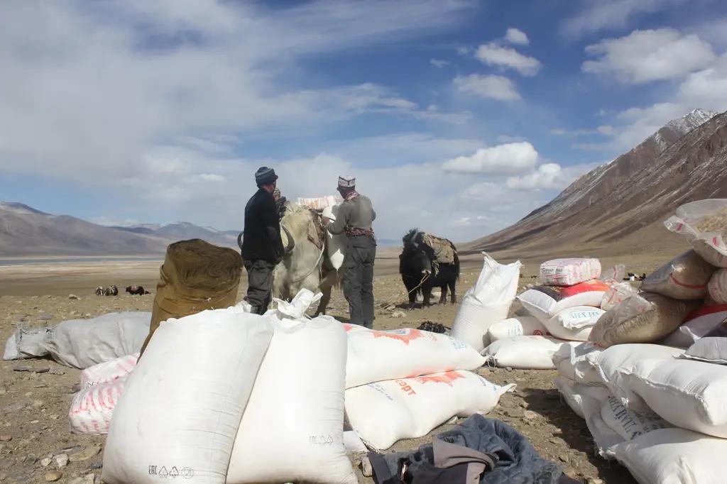 Афганским кыргызам оказана гумпомощь на 5 млн сомов