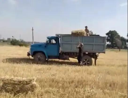 В колонии-поселения №45 собрали четыре тонны ячменя