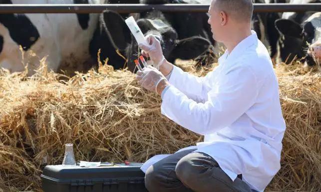 Минсельхоз планирует создавать ветеринарные станции на границе