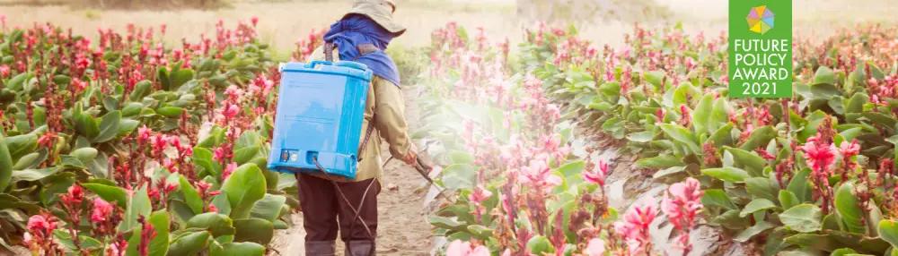 Кыргызстан получил награду за лучшее политическое решение