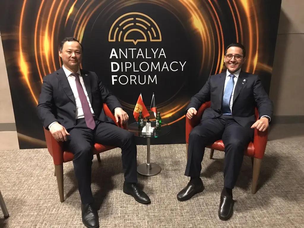 Глава МИД призвал Кувейт инвестировать в сферу здравоохранения КР