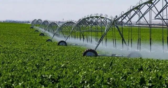 Через РКФР фермерам раздадут $55 млн