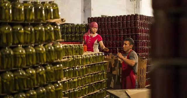 Кыргызстан перерабатывает только 15% урожая сельхозпродукции