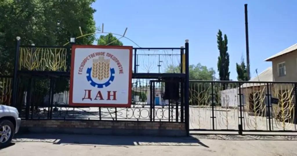 Кабмин поддержит модернизацию мукомольного предприятия «Дан»