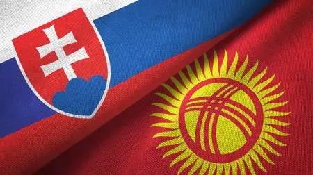 Посол Словакии: Двойное налогообложение мешает развитию торгово-экономических отношений двух стран