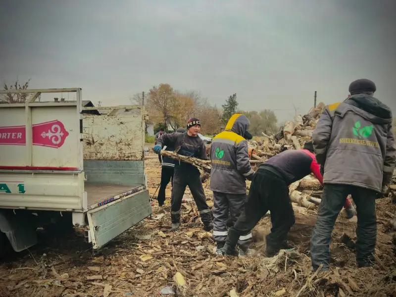 МП «Бишкекзеленхоз» начало раздачу дров малоимущим