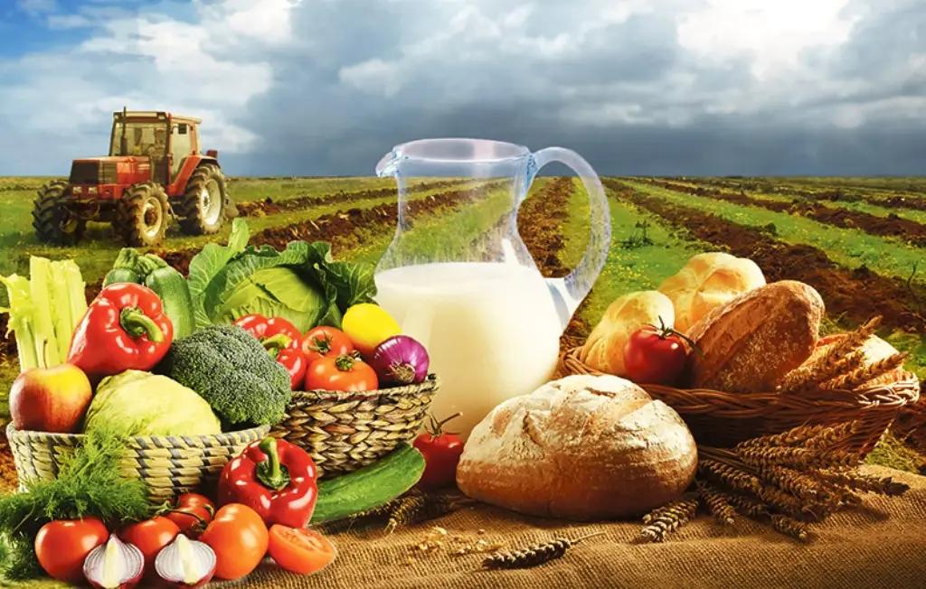 Сельская продукция из КР может выйти на международный рынок