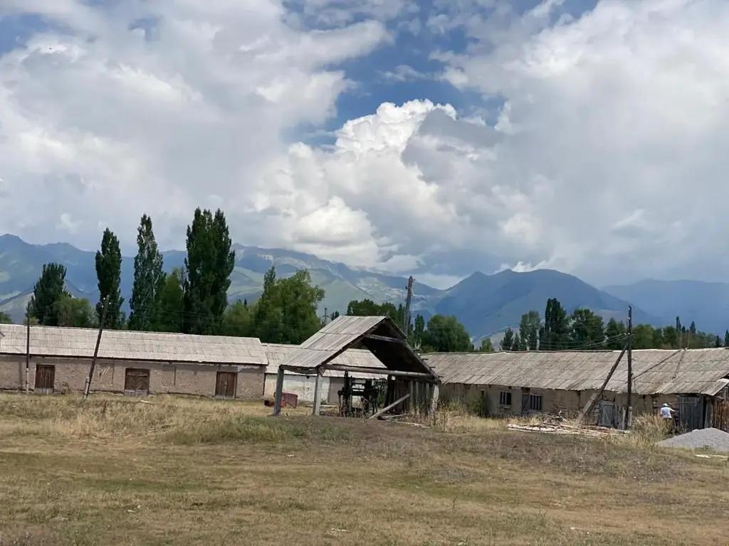 Пилораму и участок стоимостью 18 млн сомов возвратили государству