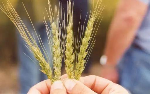 В Аграрном университете открыт учебный центр по обучению сельскохозяйственных кооперативов