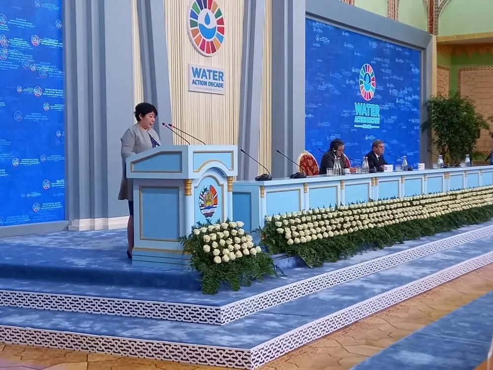 Международным инвесторам рассказали о климатических проектах КР