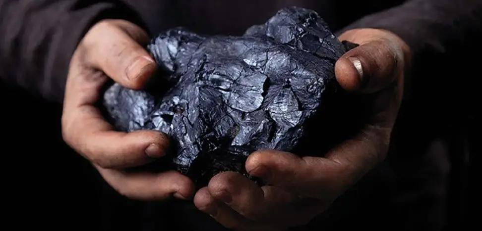 «Фонд развития природы» купит оборудование для определения качества угля