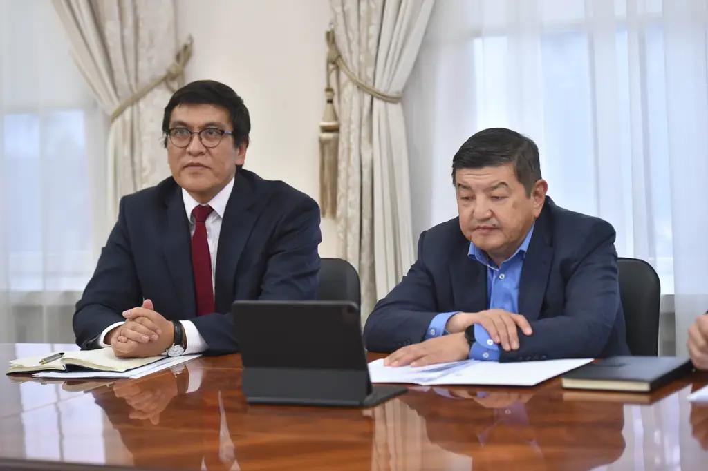 Глава кабмина обсудил развитие Кыргызстана с потенциальными донорами