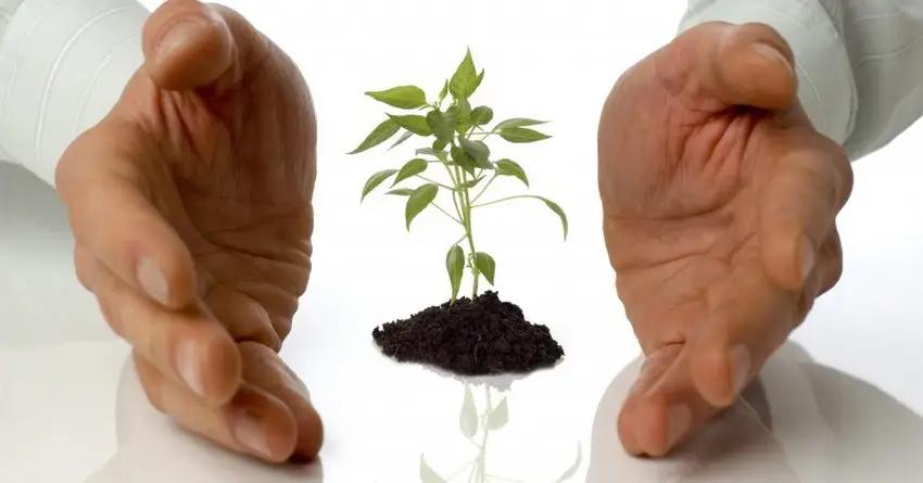 За 5 лет региональные гарантийные фонды поддержали более 400 бизнесменов