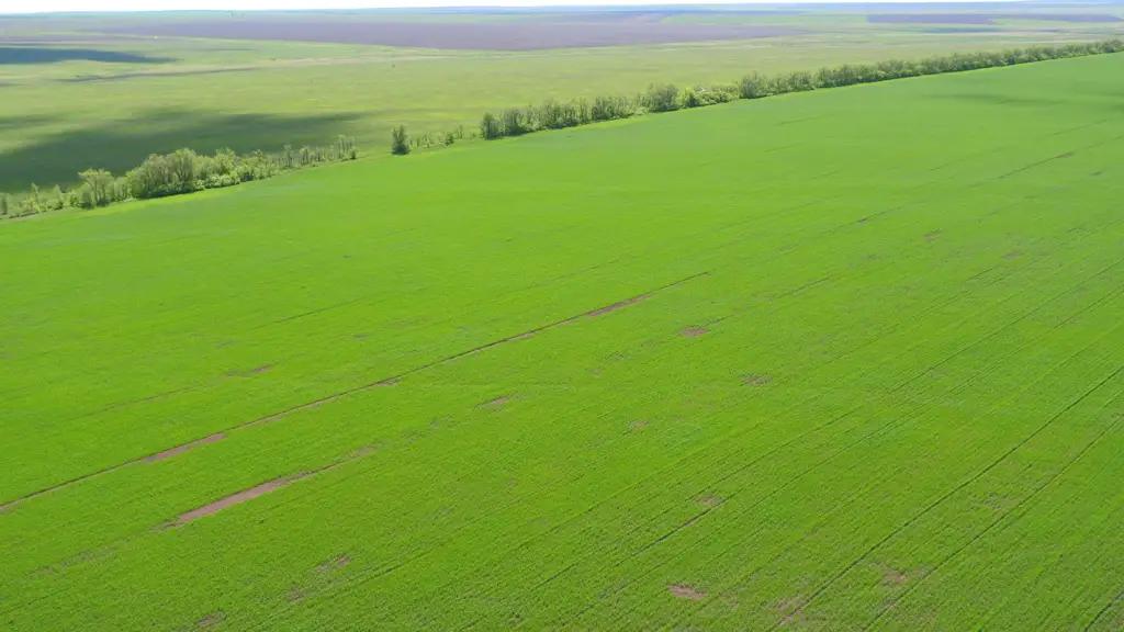 В Нарынской области трансформируют 10.9 гектара земель сельхозназначения