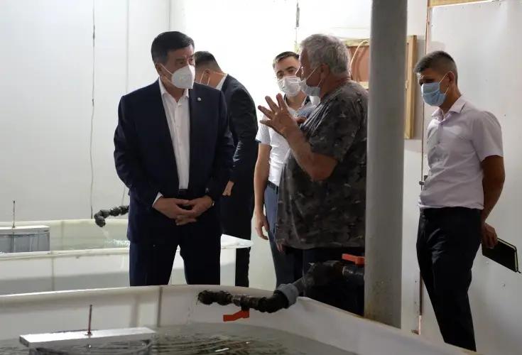 Президент КР: Мы не должны забывать об экспортном потенциале cтраны