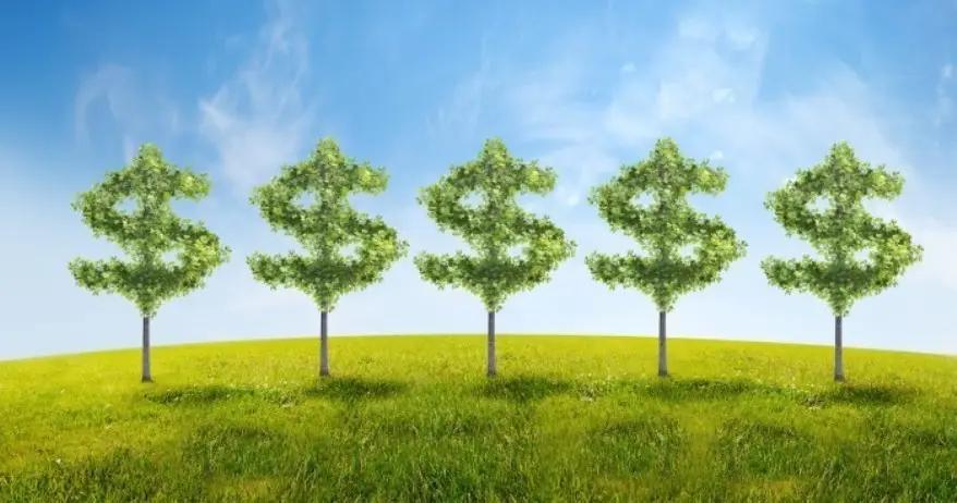 Германия поддержит внедрение зеленой экономики в Кыргызстане