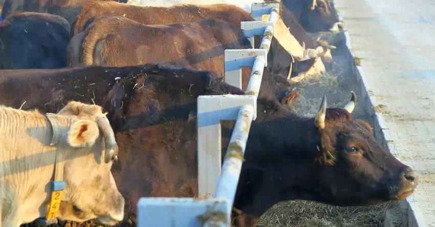 Cроки погашения по льготным кредитам для фермеров увеличены до 3 лет